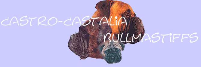 La trayectoria de Castro-Castalia Bullmastiffs, Castro-Castalia Bullmastiffs