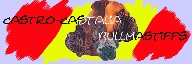 Anagrama de Castro-Castalia Bullmastiffs