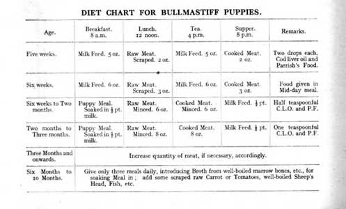Nutrition of Bullmastiff, Castro-Castalia Bullmastiffs
