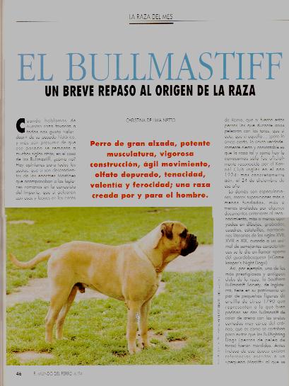 Articulos Bullmastiff, Castro-Castalia
