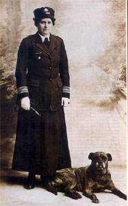Bullmastiff en la Cruz Roja II Guerra Mundial