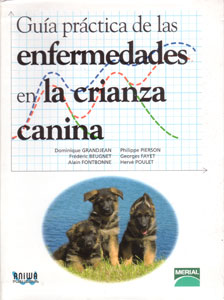 Castro-Castalia Bullmastiffs