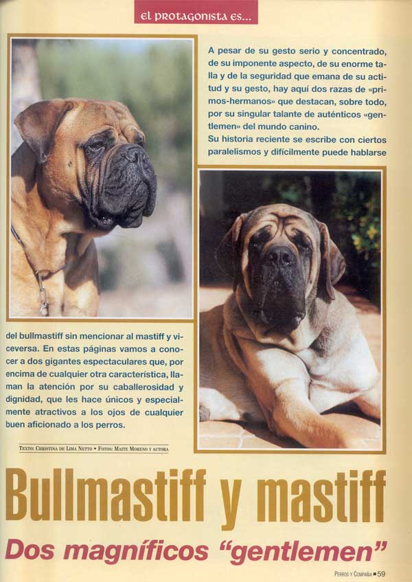 Mastiff y Bullmastiff, Dos Magnificos Gentleman