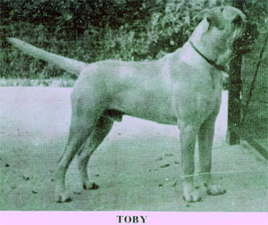 Toby of Oldwell